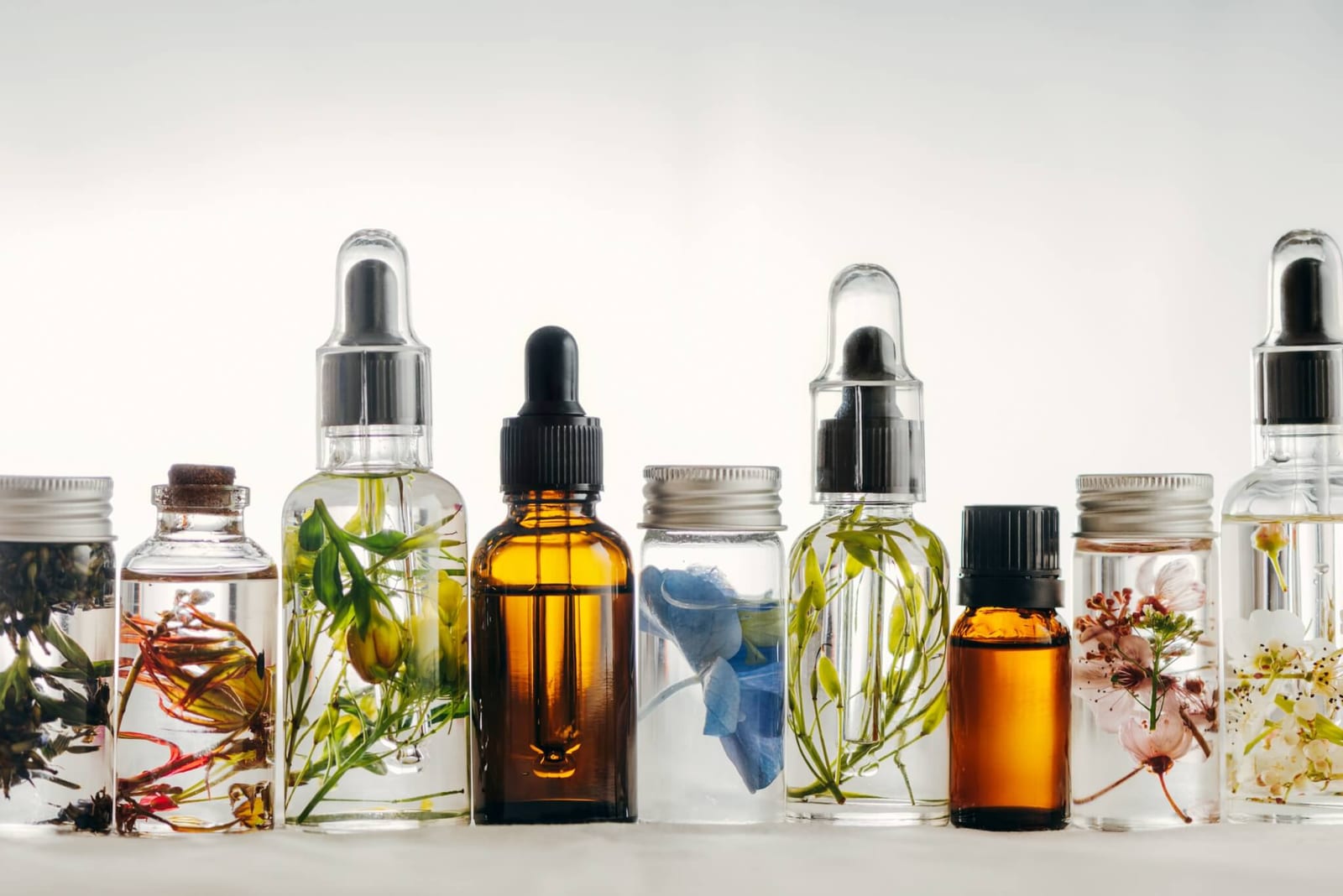 assortment of bottles containing plants marinating inside liquids