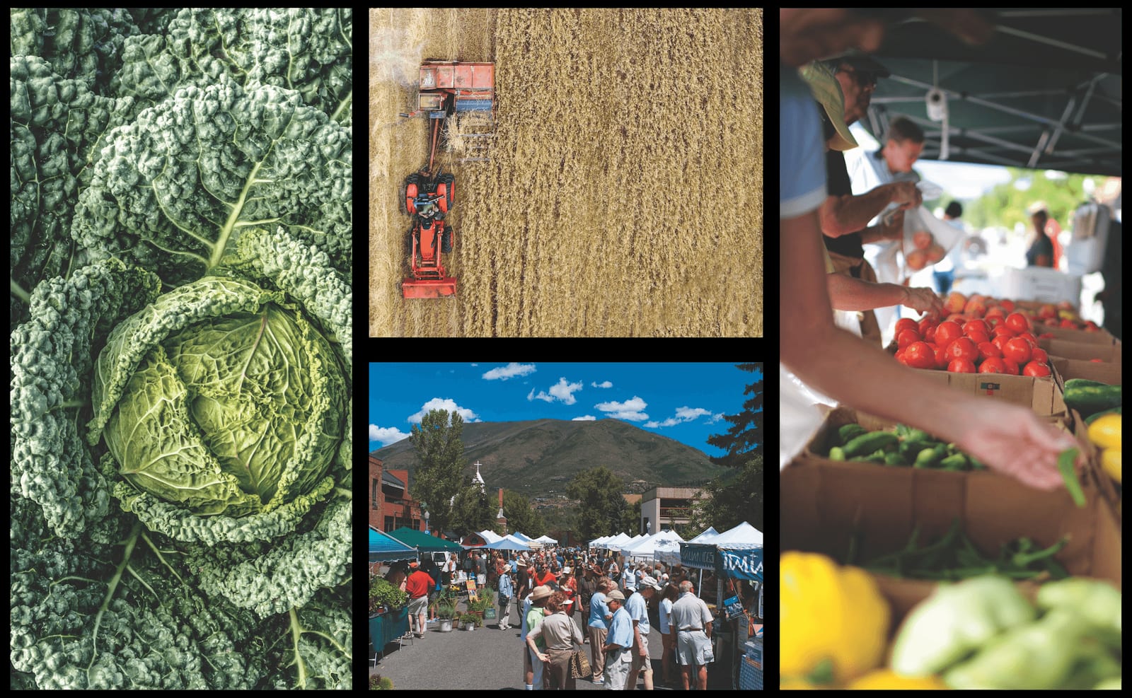 fresh produce collage guide to eating local