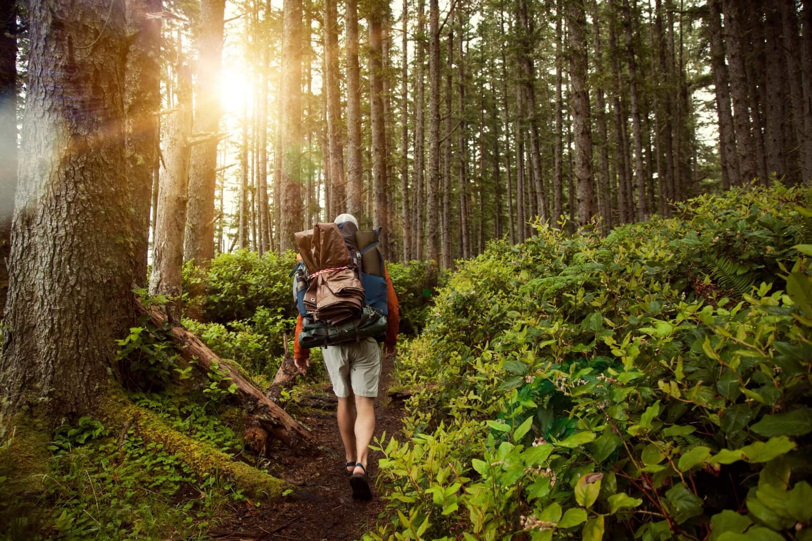 man on a long hike in the woods opting to wear comfortable hiking sandals in order to reduce moisture as a measure for preventing blisters on his feet