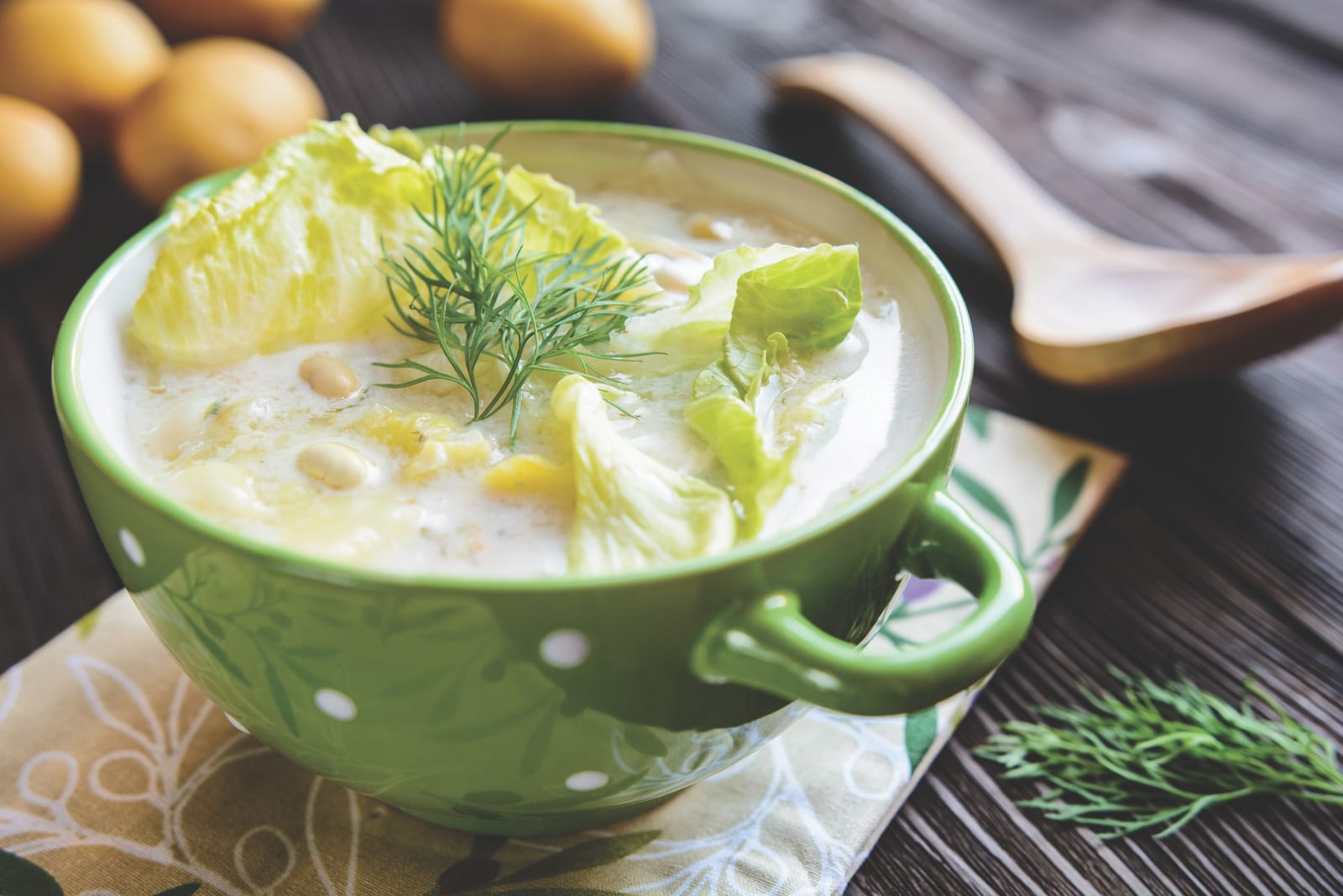 garlic cabbage soup